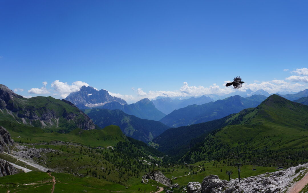 “자유가 지나쳐서 생기는…”