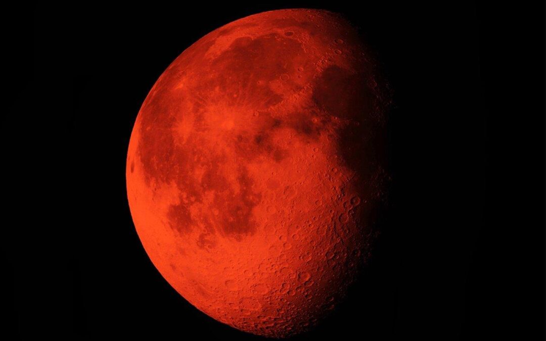 평생 한번 볼 수 있을까? 2025년9월8일 01:26