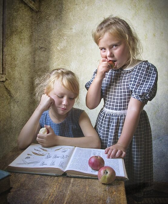 2025-11-19의 블로거 추천 신간도서