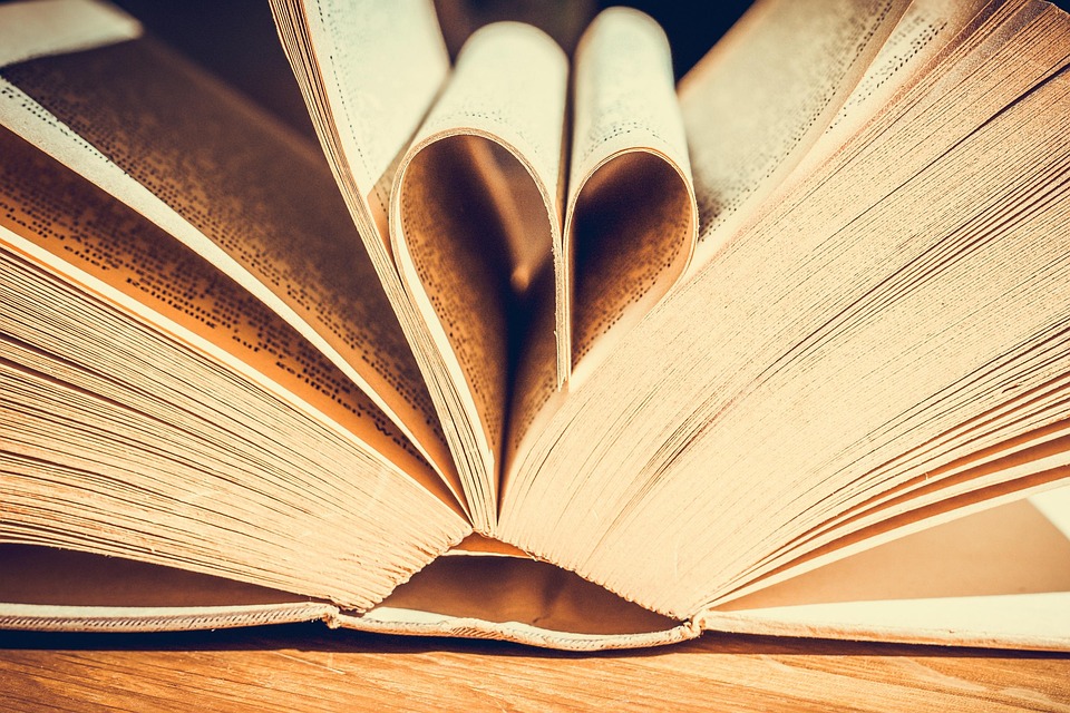 2026-01-29의 블로거 추천 신간도서