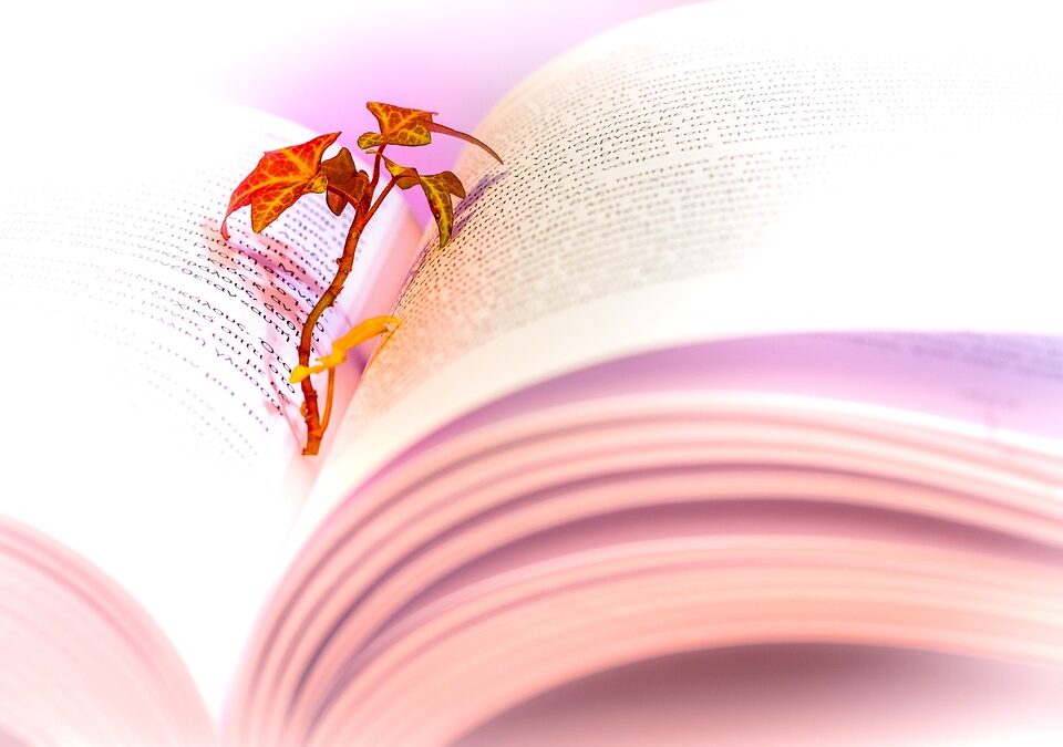 2026-02-07의 블로거 추천 신간도서