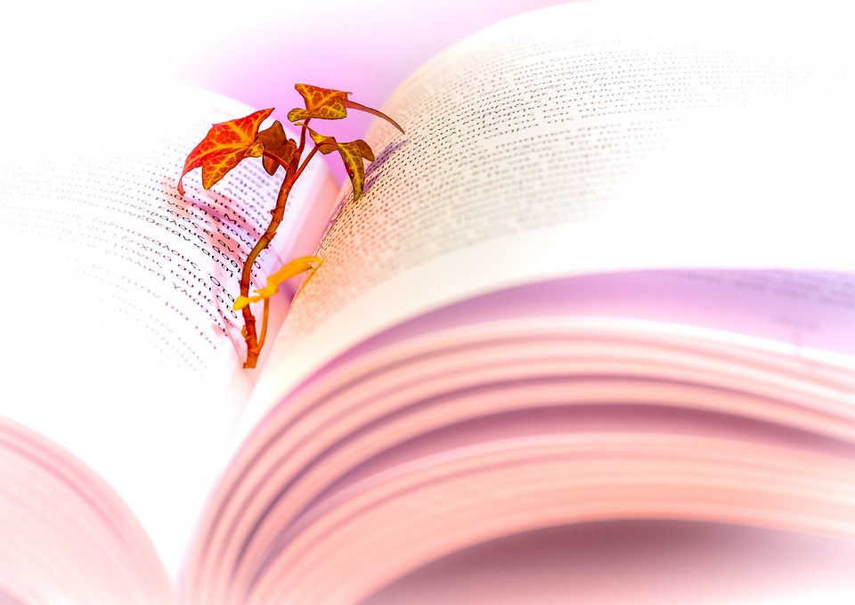 2026-02-07의 블로거 추천 신간도서