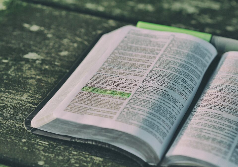 2026-03-12의 블로거 추천 신간도서